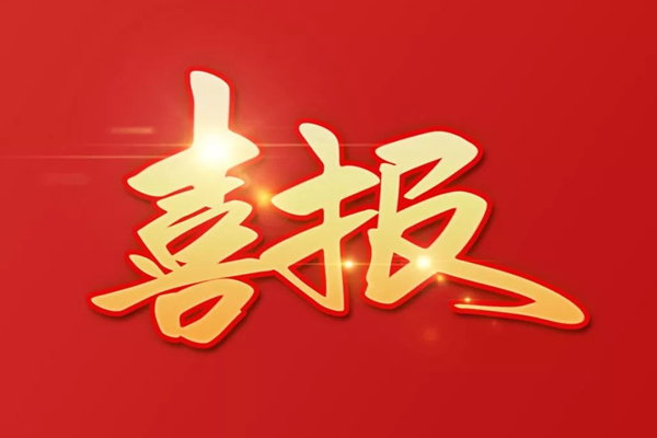 热烈庆祝蓝电动力官方网站上线！